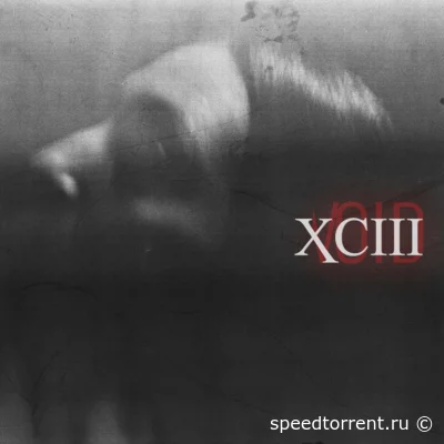 XCIII - Void (2022)