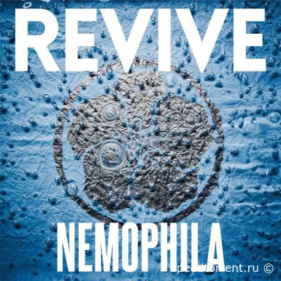 Nemophila - Revive (2021)