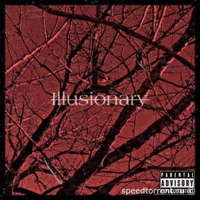 Joseph Hollywood - Illusionary (2021)