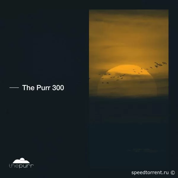 The Purr 300 (2021)