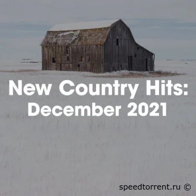 New Country Hits: December 2021 (2021)