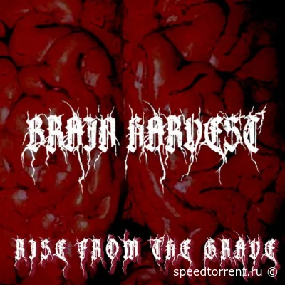 Brain Harvest - Rise from the Grave (2022)