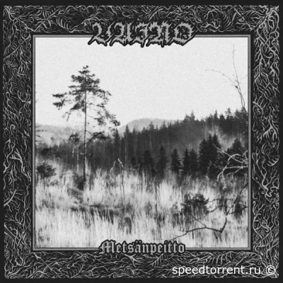 Vaino - Metsänpeitto (2022)