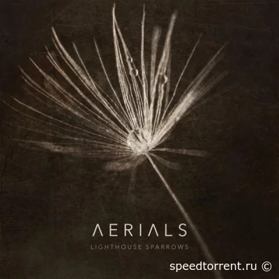 Lighthouse Sparrows - Aerials (2022)