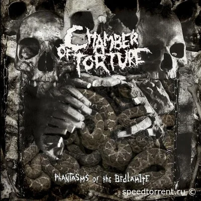 Chamber of Torture - Phantasms of the Bedlamite (2022)