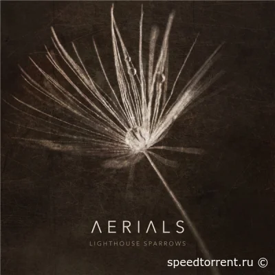 Lighthouse Sparrows - Aerials (2022)