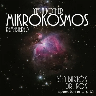 Dr. Kok - Yet Another Mikrokosmos (2022)