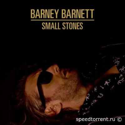 Barney Barnett - Small Stones (2022)