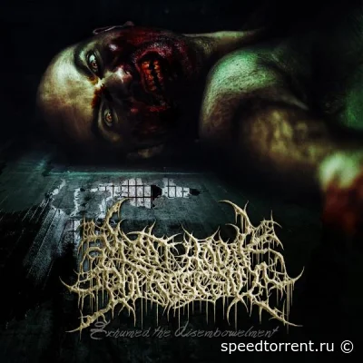 Meathook Putrescent - Exhumed The Disembowelment (2022)