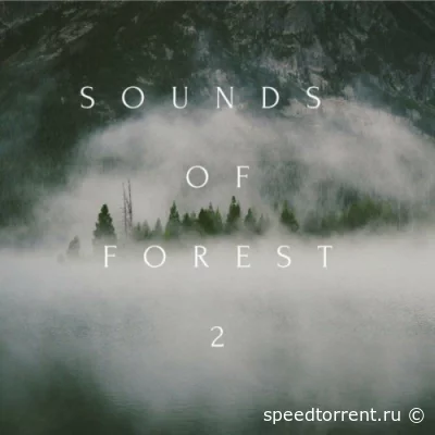 Sounds of Forest 1-2 (2022)