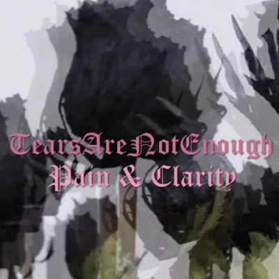 TearsAreNotEnough - Pain and Clarity (2022)