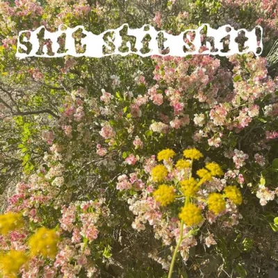 shit shit shit! - Sunsad (2022)