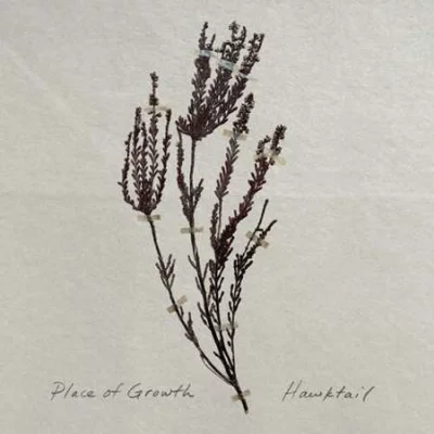 Hawktail - Place of Growth (2022)