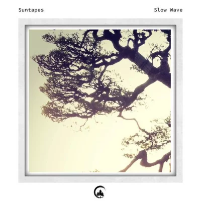 Suntapes - Slow Wave (2022)